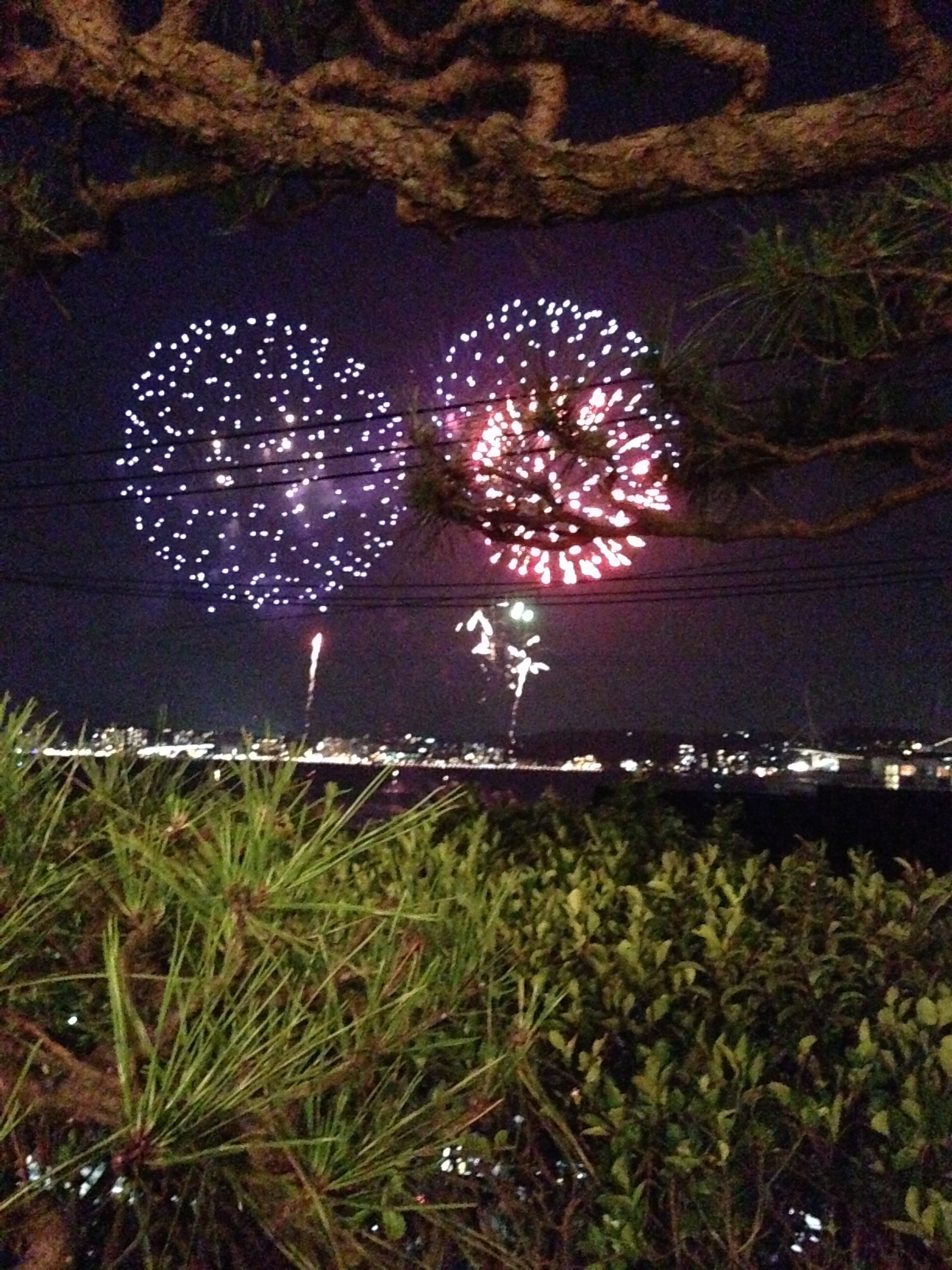new_翼会_花火