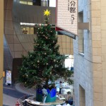 20111101-150512.jpg (クリスマスツリー飾り付け中)
