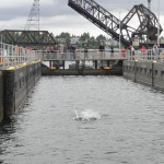 CIMG1379 (2009Seattle-1)