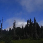 CIMG9218 2 (2009Seattle-1)