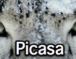 picasa (Link)