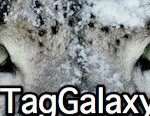 tgalaxy (Link)