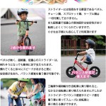 ストライダー (ストライダーってなんだ)