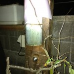 20120121-200819.jpg (Paulが作った門松利用して街灯を作った)