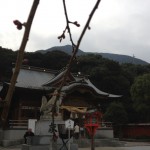 20120225-092029.jpg (創立記念日)