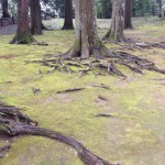20120302-154229.jpg (飫肥城にて)