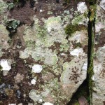 20120302-205137.jpg (飫肥城石垣)