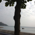 20120319-162604.jpg (時間潰しの赤柱)