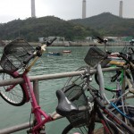 20120321-101940.jpg (ラマな風景)