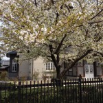 20120330-115057.jpg (春)