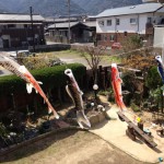 20120401-100135.jpg (早めの鯉のぼり)