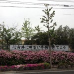 20120502-172452.jpg (母校のツツジ)