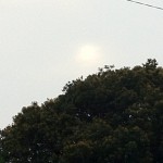 20120520-063623.jpg (明日晴れるか？)