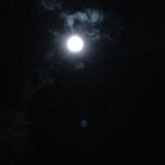 20120831-224454.jpg (更に)