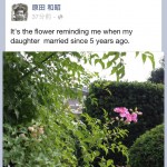 20120923-134642.jpg (自宅で繋がるソフトバンクLTE)