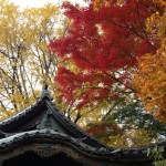 20121129-223419.jpg (三渓園)