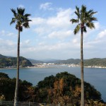 20121219-102119.jpg (日南海岸にて)