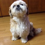 20130701-201254.jpg (Prin)
