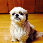 20130701-201335.jpg (Prin)