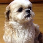 20130701-201416.jpg (Prin)