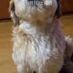 20131005-午後001049.jpg (Prin again)