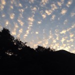 20131031-午前064458.jpg (大切な日の朝焼け)