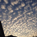 20131031-午前065303.jpg (大切な日の朝焼け)