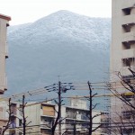 20140122-午前081322.jpg (冠雪)