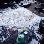20140208-午前072857.jpg (雪)