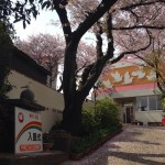 20140403-午前105536.jpg (桜の入園式)