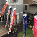 20140505-午前075034.jpg (小雨模様だが)