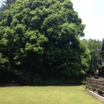 IMG_1995 (5/23-24和敬西寮同期会)