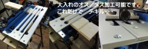 img15.shop-pro.jp (大入れジグのセット)