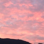 IMG_2496 (wp canvas shortcodeのテスト)