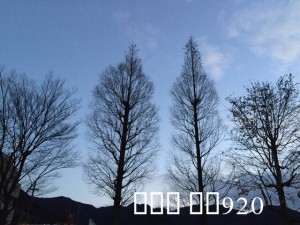 IMG_3409.JPG