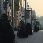 IMG_0258.JPG (Tokyo)