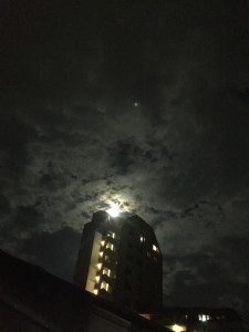 IMG_0644