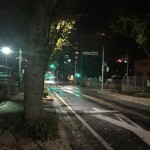 IMG_0859 (カラカラと落ち葉舞う)