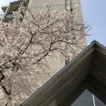 LdXoZyP4Sqe+vuZ+WqteRg (卒業旅行)