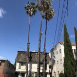7NkrC68XQqSeSGHP6nQqIg (WWDC2018 at SanJose,Cal.)