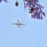 fullsizeoutput_129d (WWDC2018 at SanJose,Cal.)