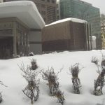 CIMG0027 (札幌&大川RC)