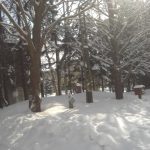 CIMG0059 (札幌&大川RC)