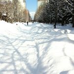 IMG_0338 (札幌&大川RC)